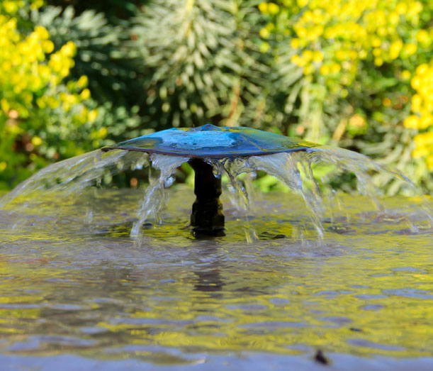 Water & bubbles